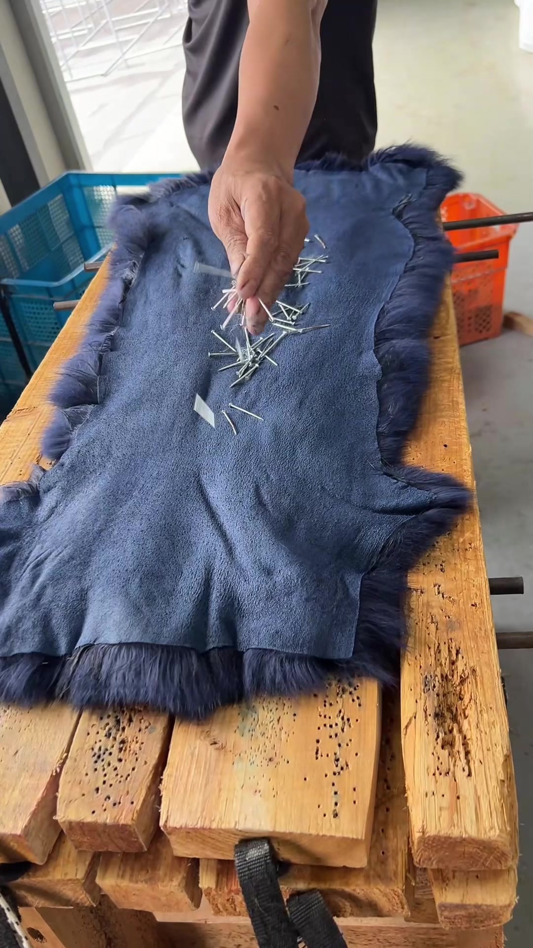@janefur fur