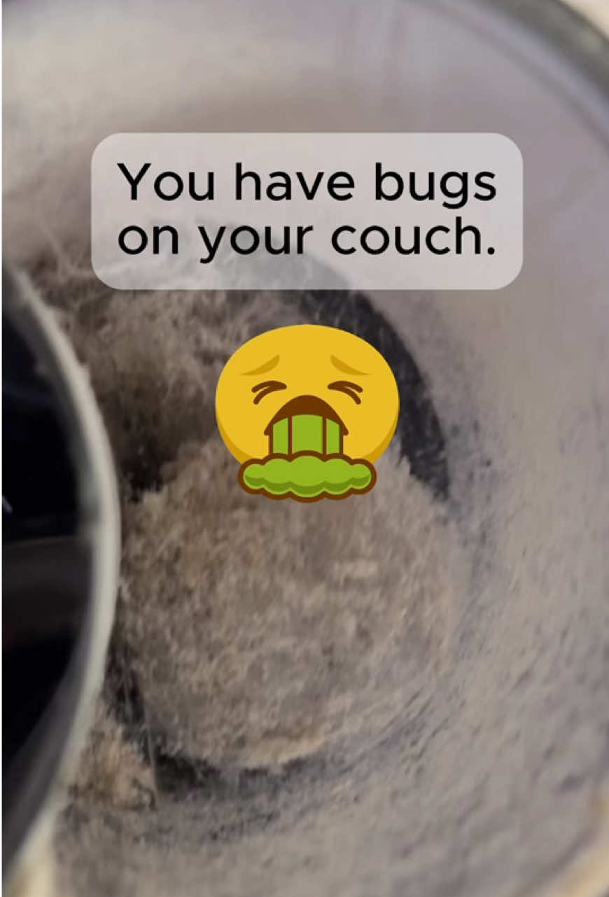 @Kira Bailey