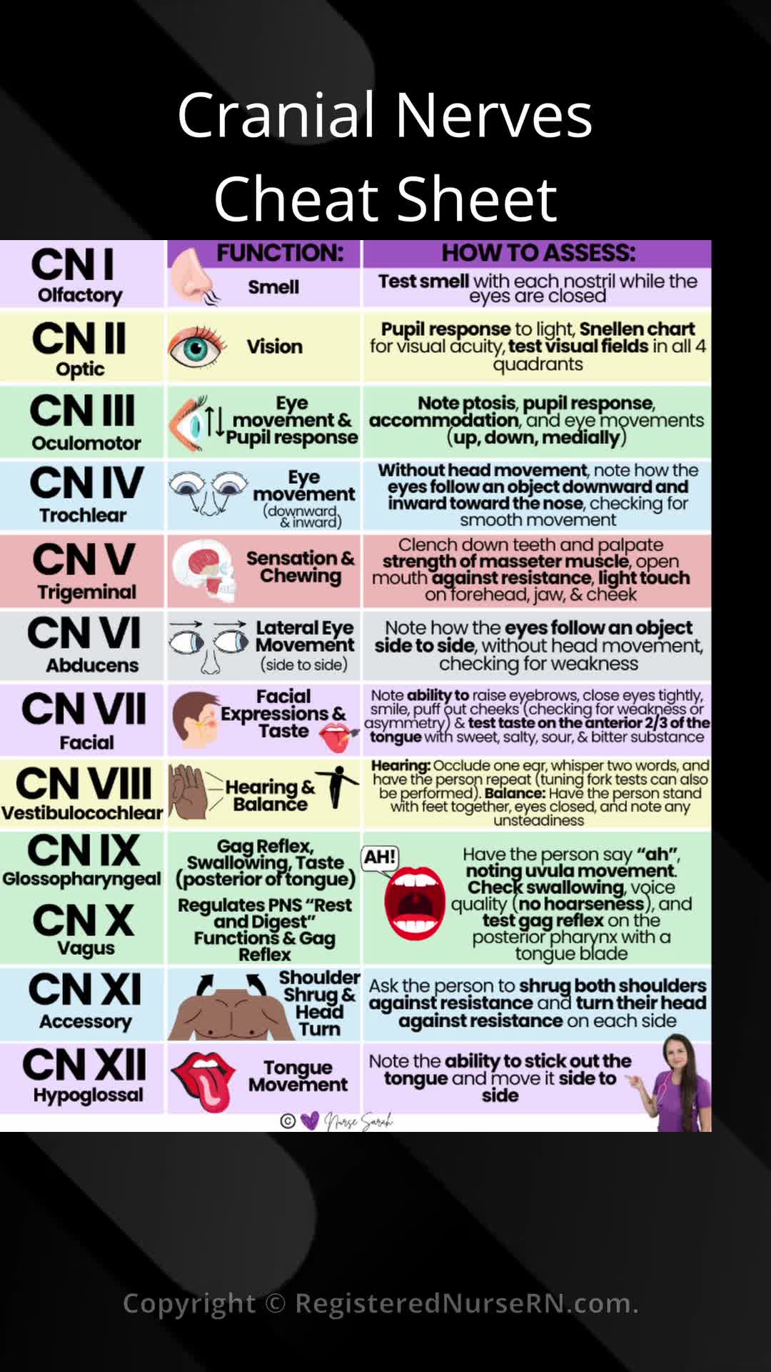 Cranial Nerves Nursing Cheat Sheet for | Nurse Sarah ...