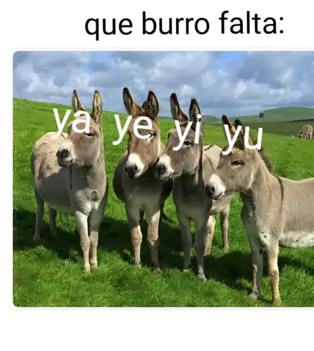 @soy geyyy