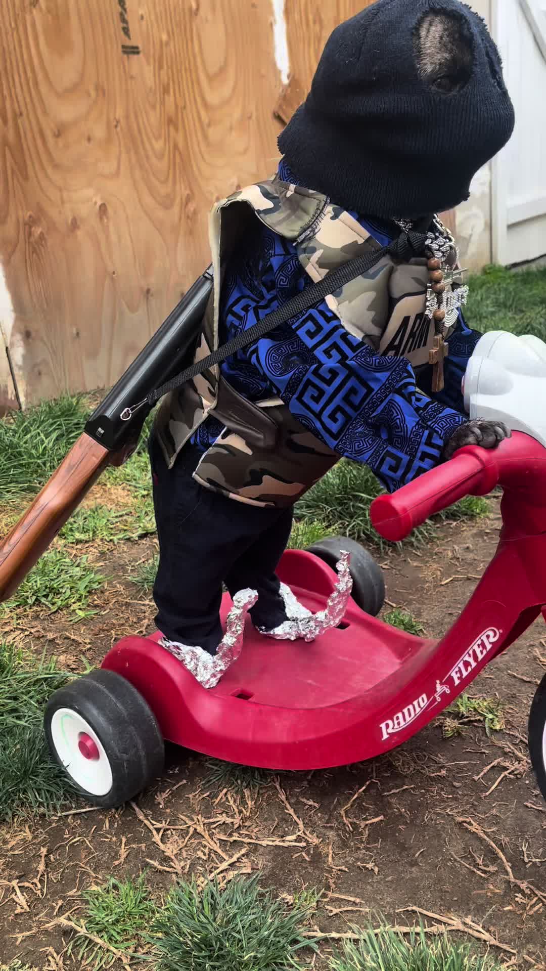 @𝕭𝖔𝖓𝖌𝖔
