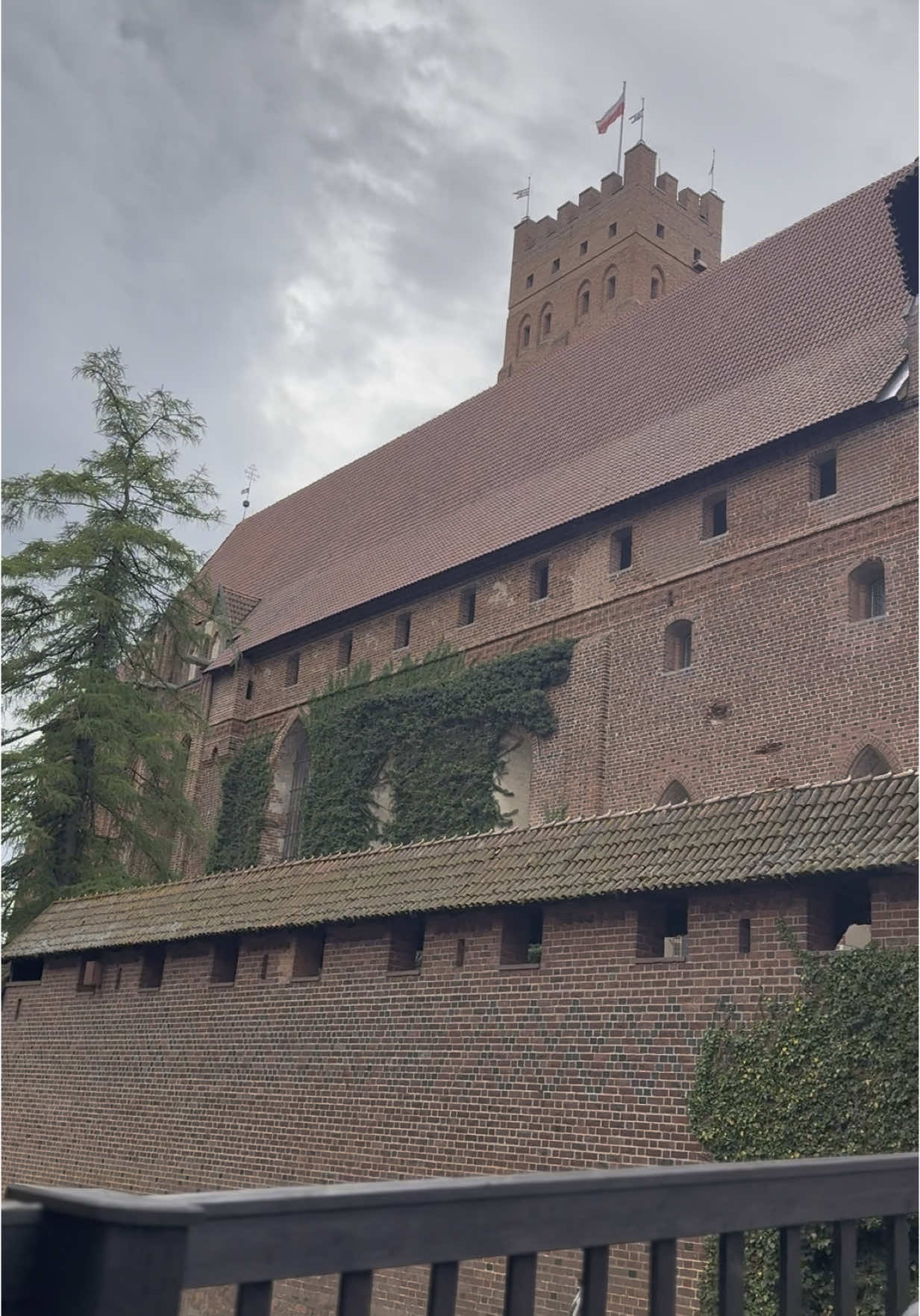 @Bela M.