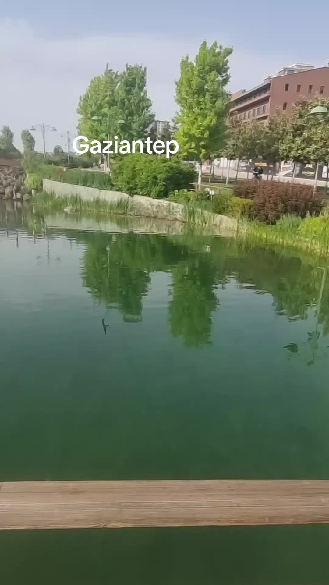 @🌹G&uuml;lay🌹