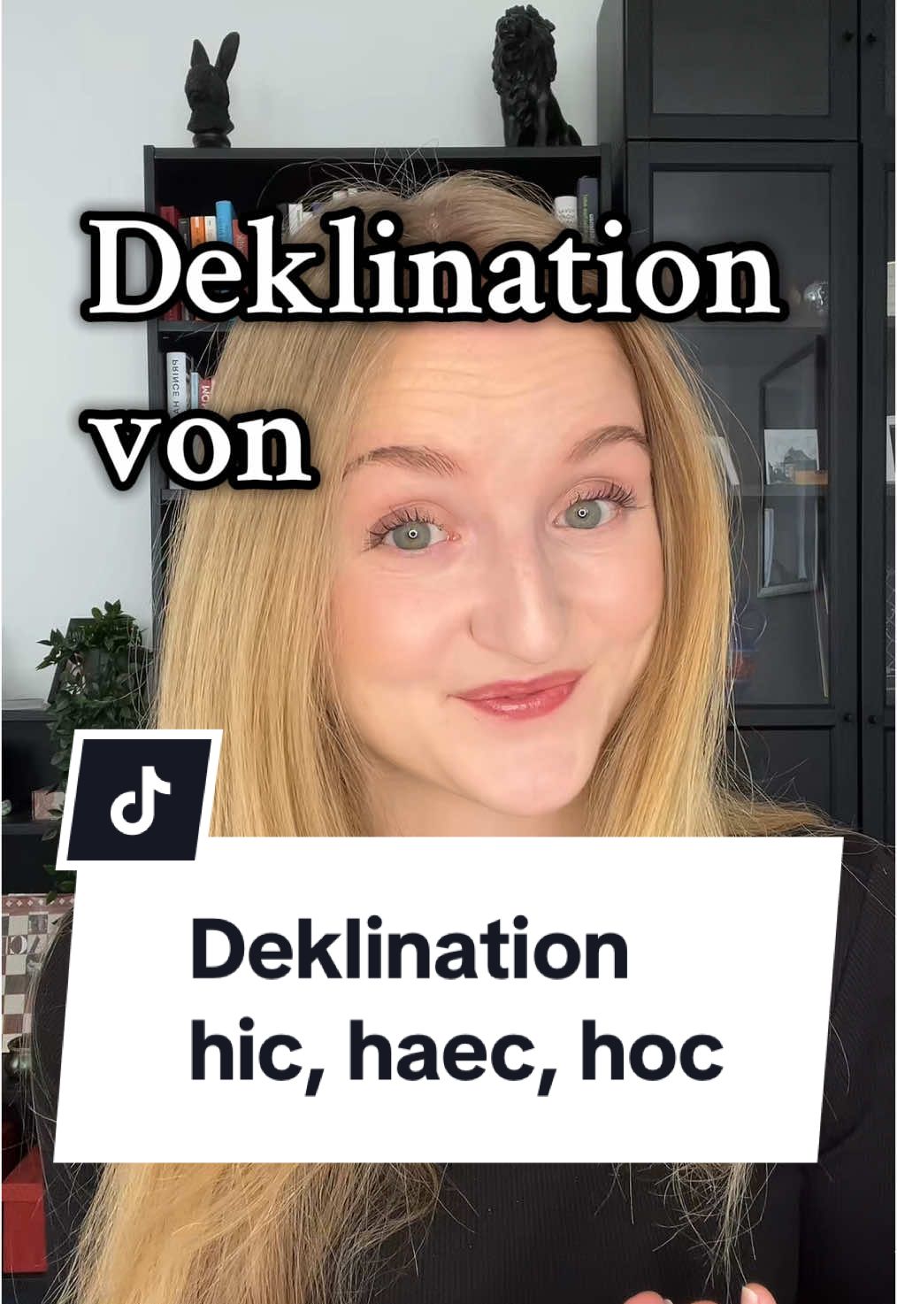 @Languaid - deine Sprachenhilfe