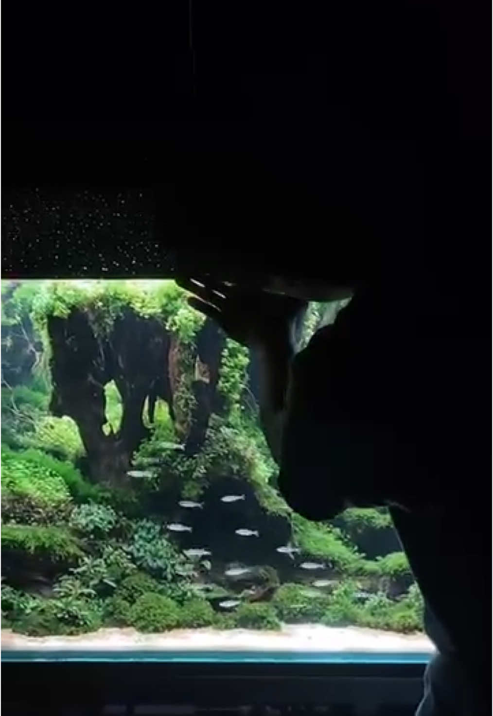 @Visuallscape