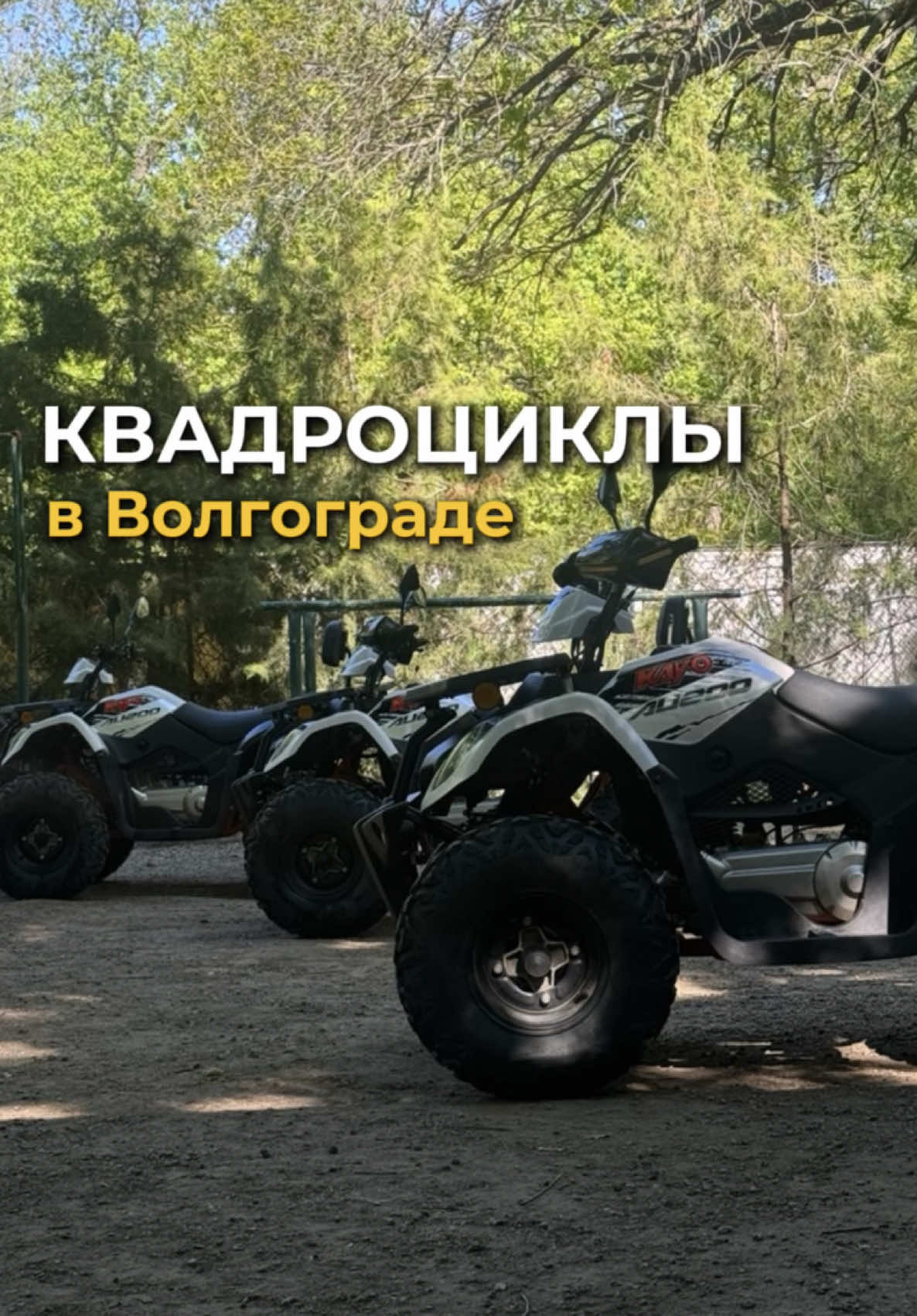 @Лизавета