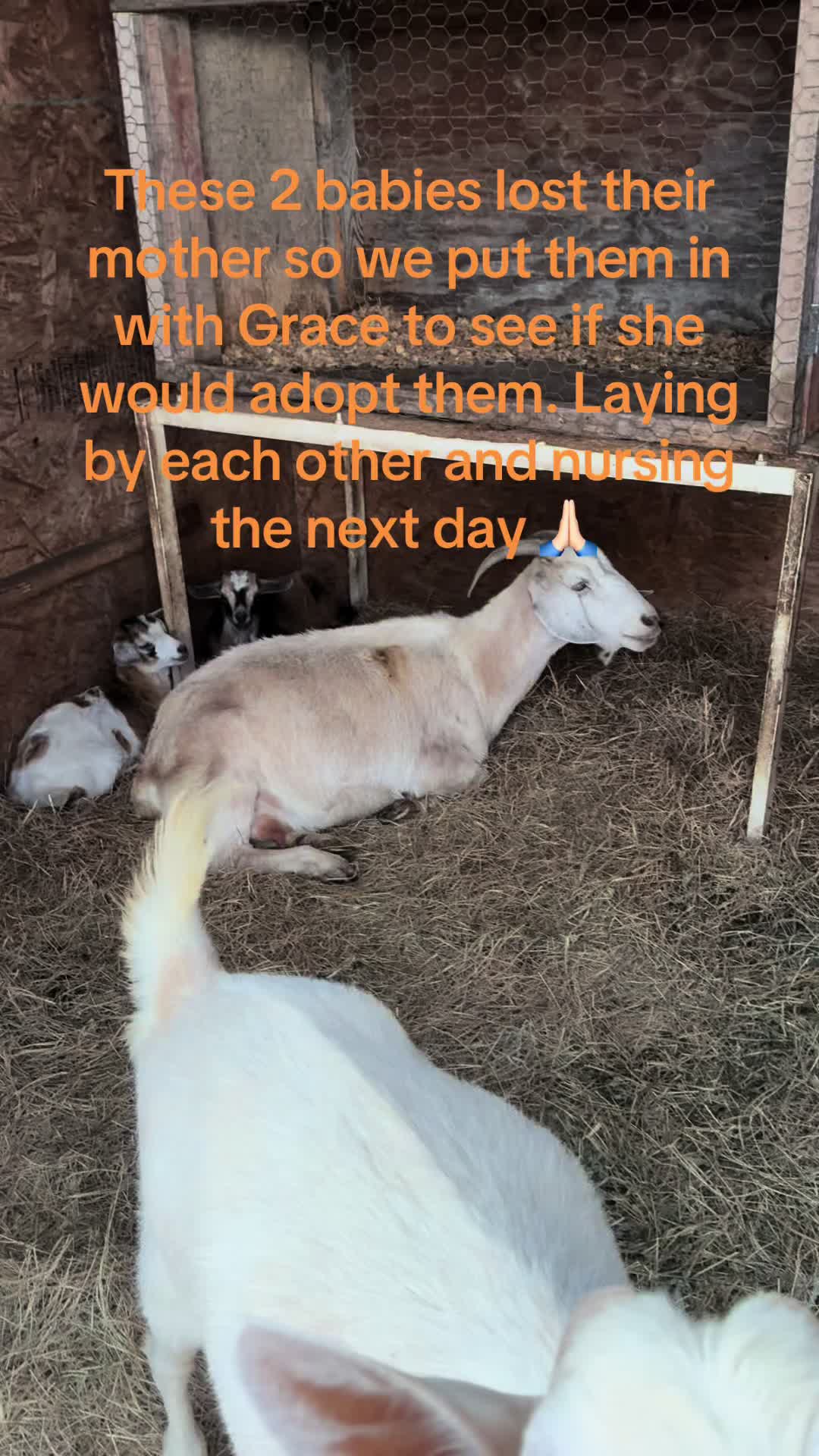 @truetexan19
