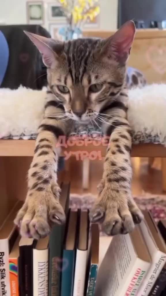 @Оксана
