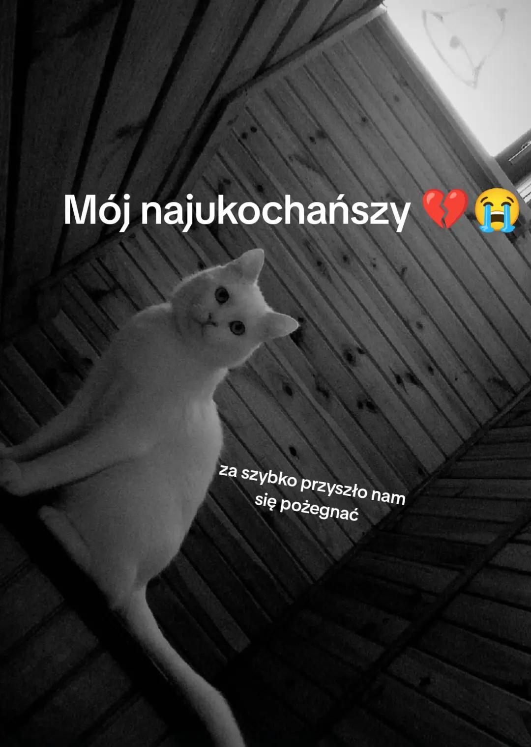 @szczupajka 💖