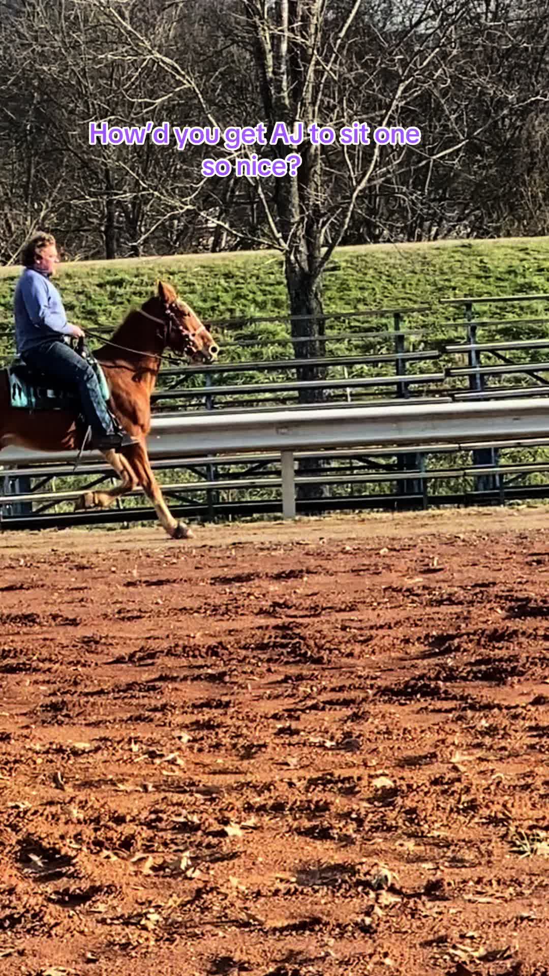 @EightyDollarStables