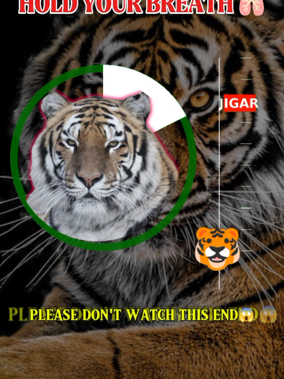 @DO NOT WATCH ALONE 😱🩸