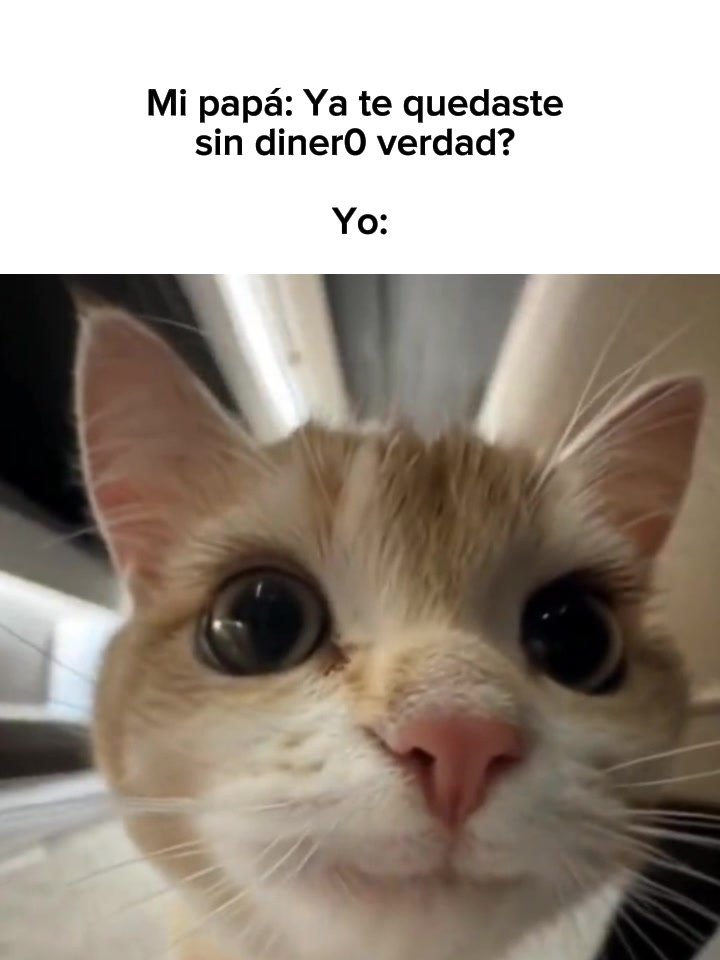 @goodvibessxd