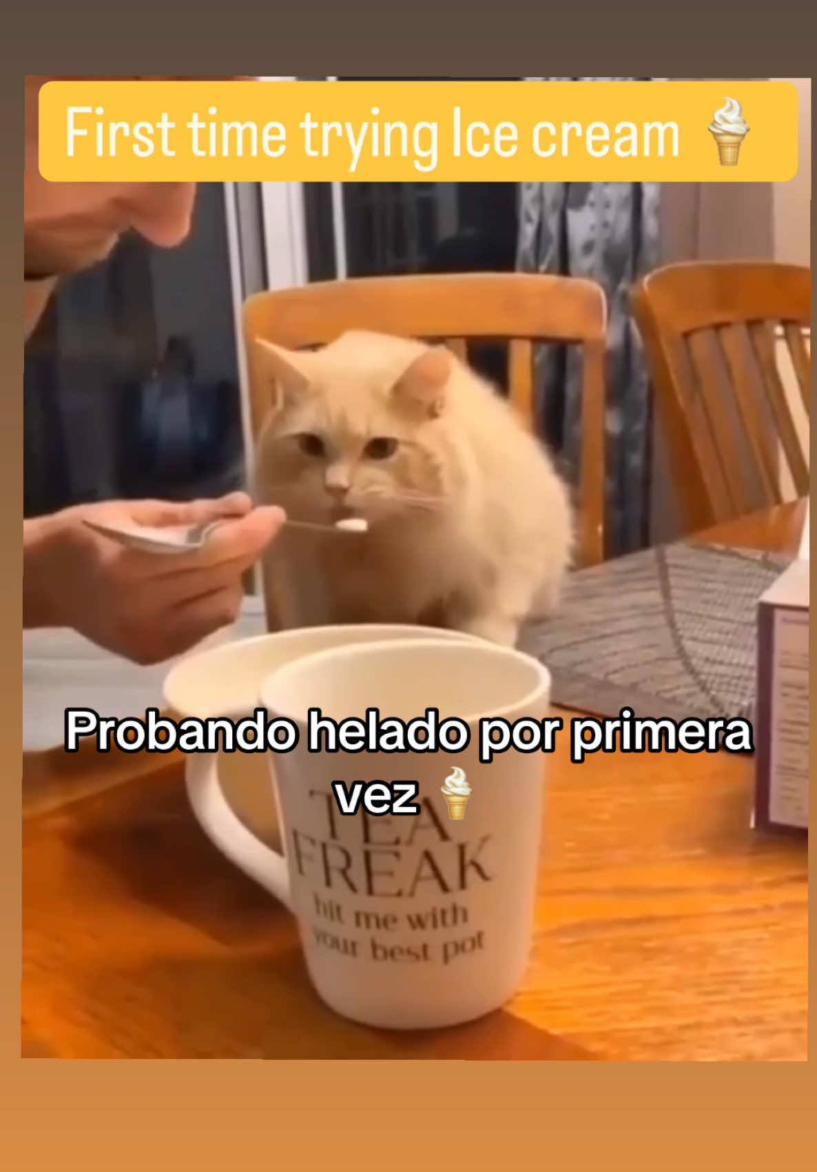 @vl0gsca
