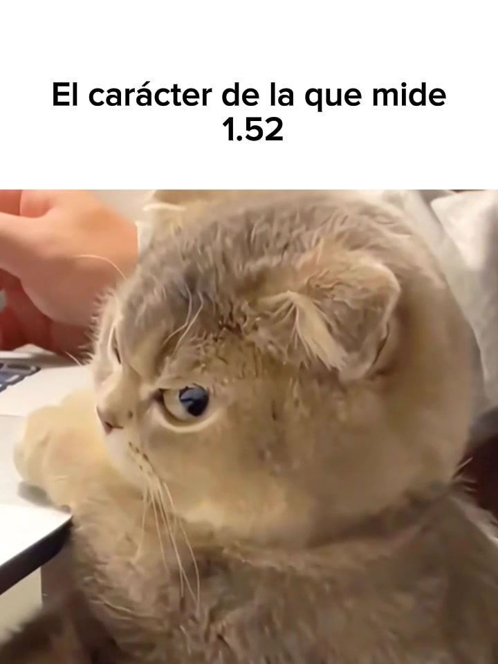 @goodvibessxd