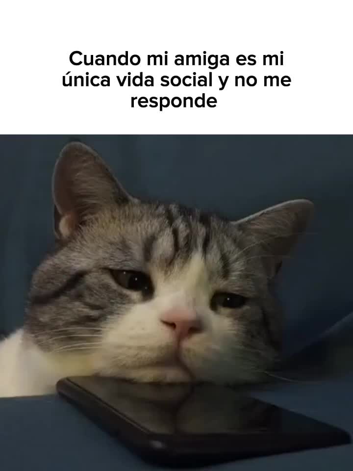 @goodvibessxd