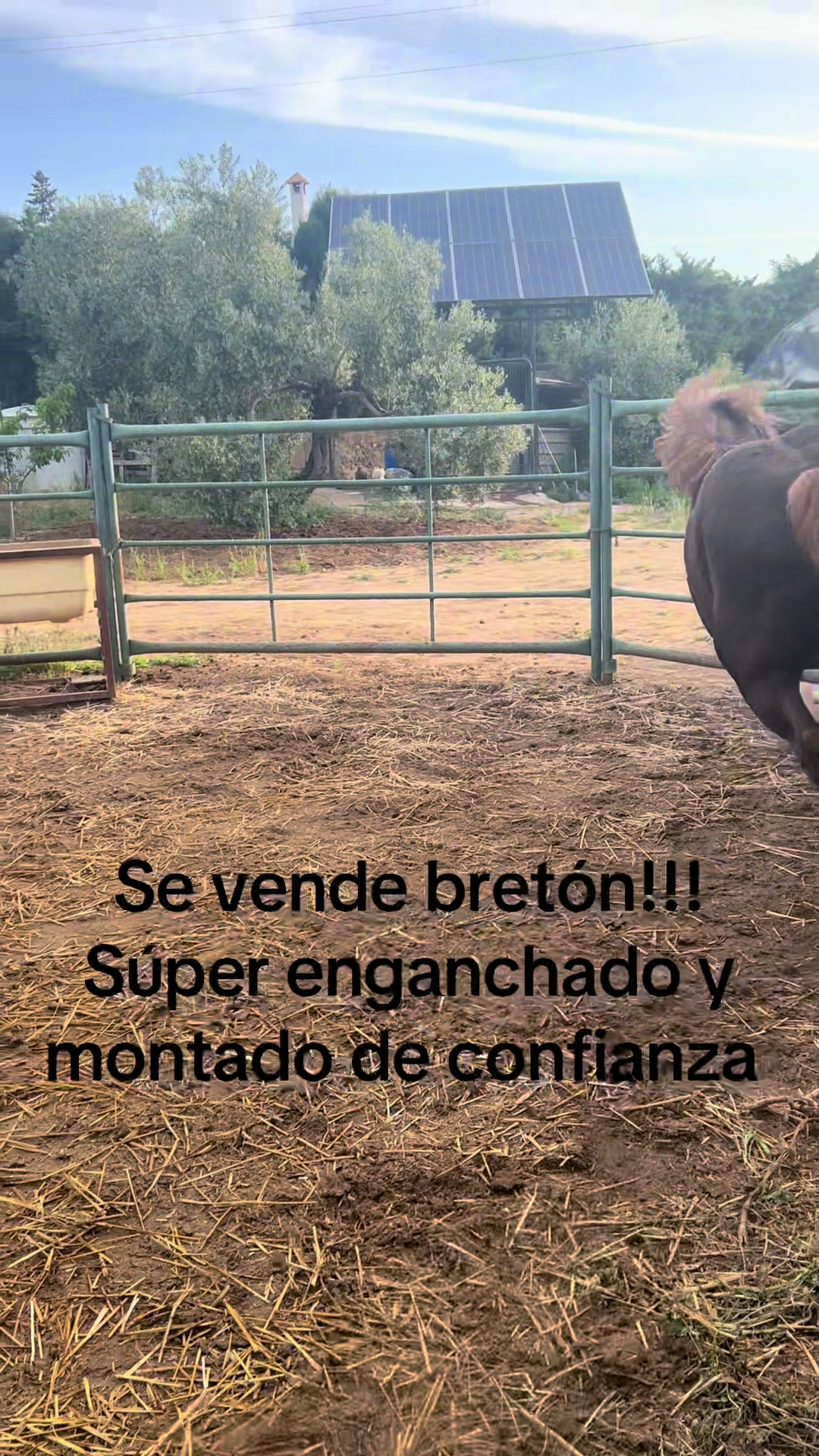 @Paco Almaz&aacute;n Lechuga