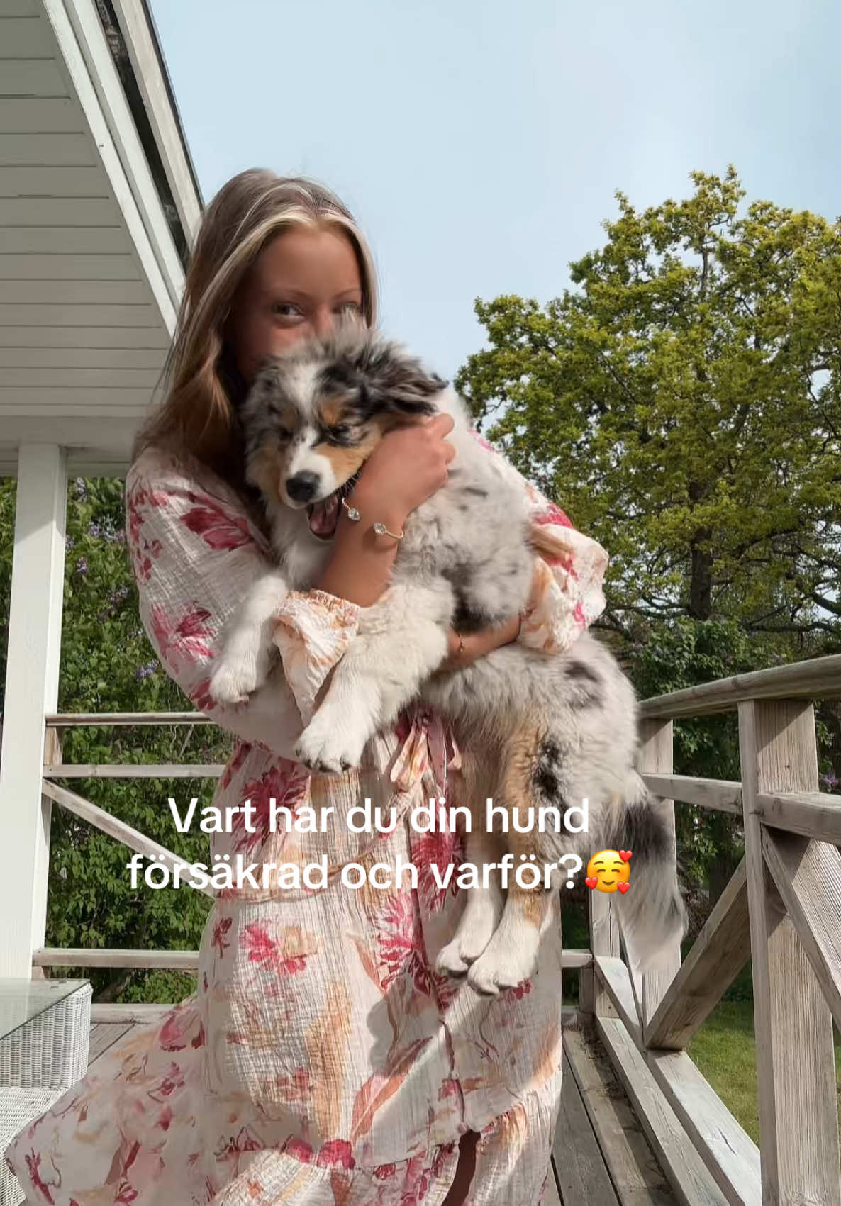 @Izabellasvarddressage