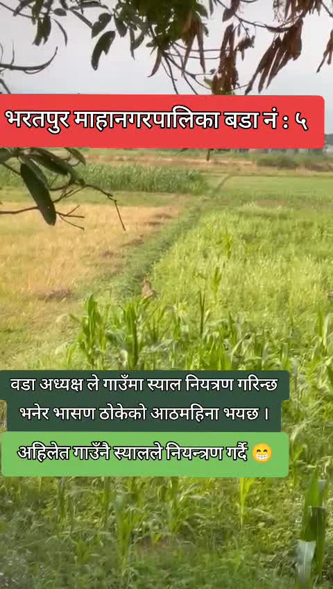 @Raja babu