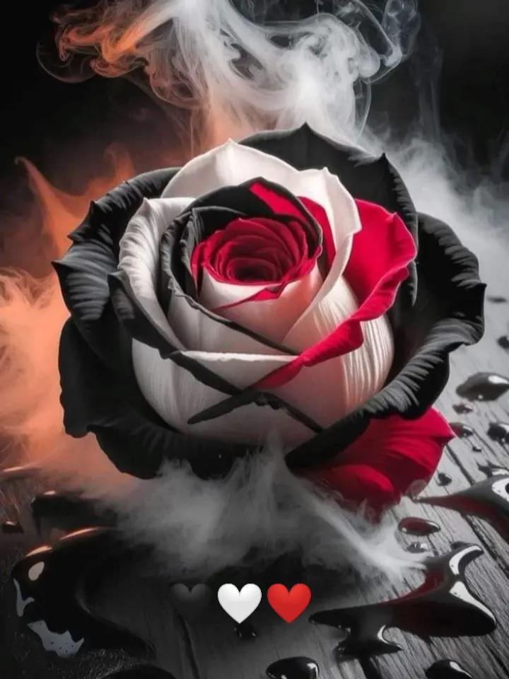 @🖤🤍❤️ K I R A 🖤🤍❤️