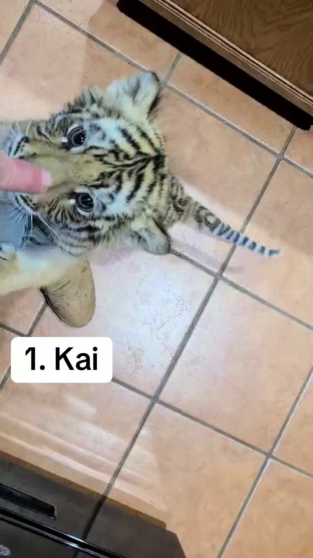 @Texas Wildlife Park