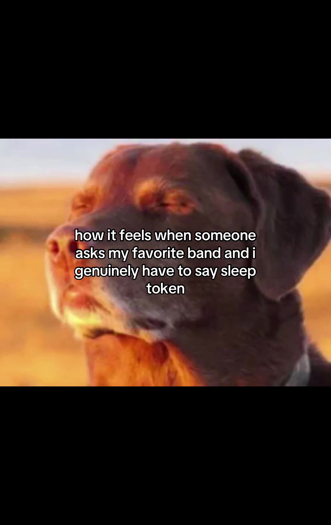 @𝓯𝓻𝓮𝓪𝓴𝔂 g&oslash;&oslash;se ❤️