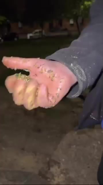 @pl00ntest