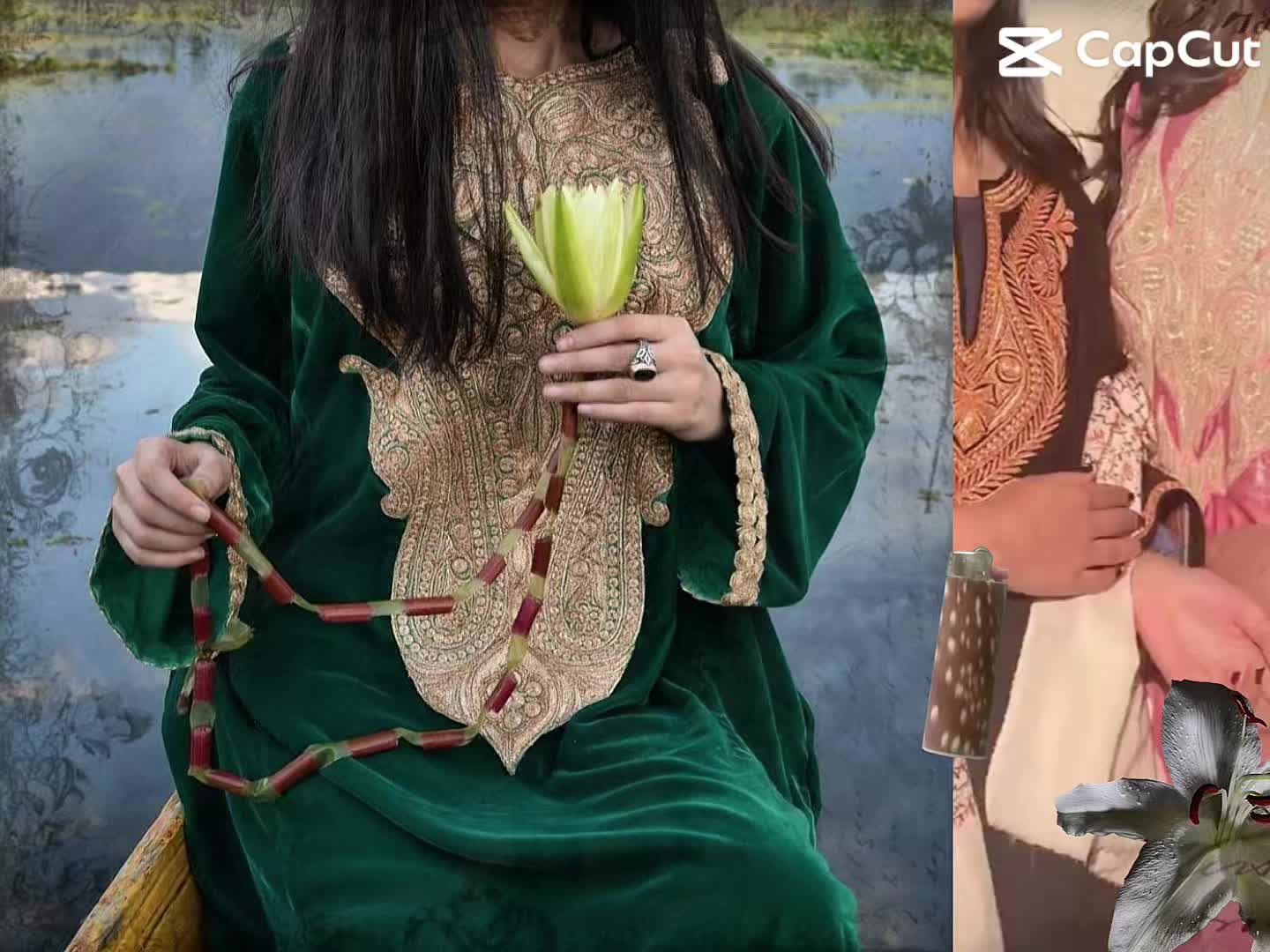 @zoonkashmiri