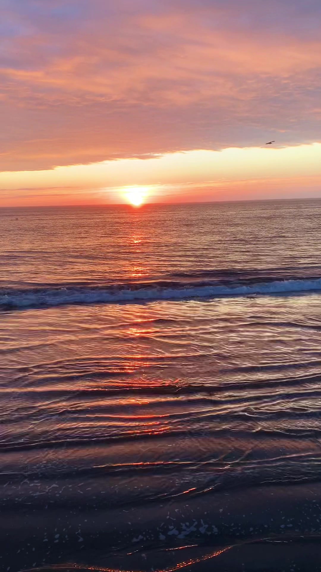 @TravelProSakhalin