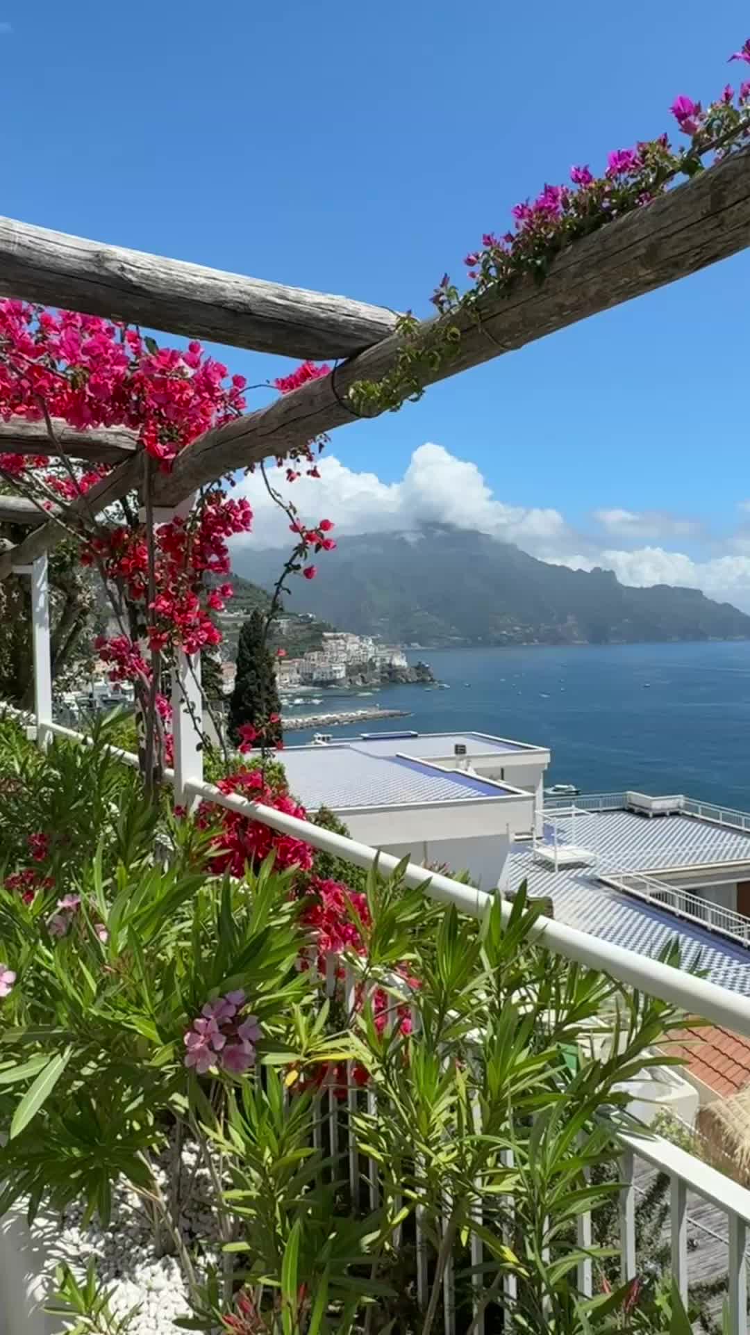 @d.rdrgz18