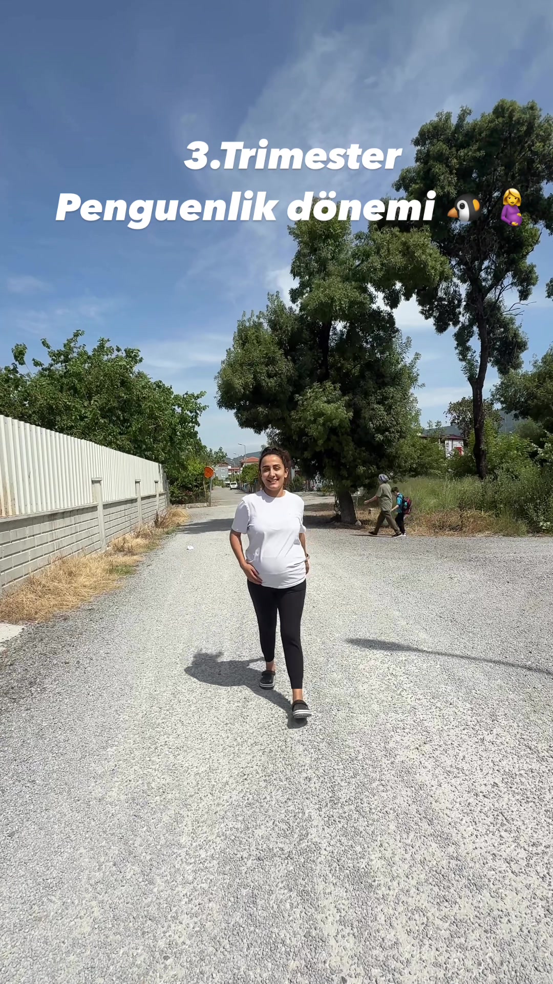 @canselbekarr