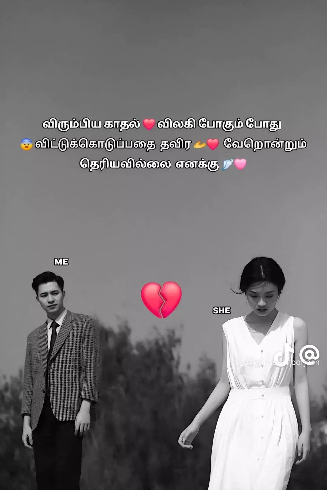 @MR.single💔🌸