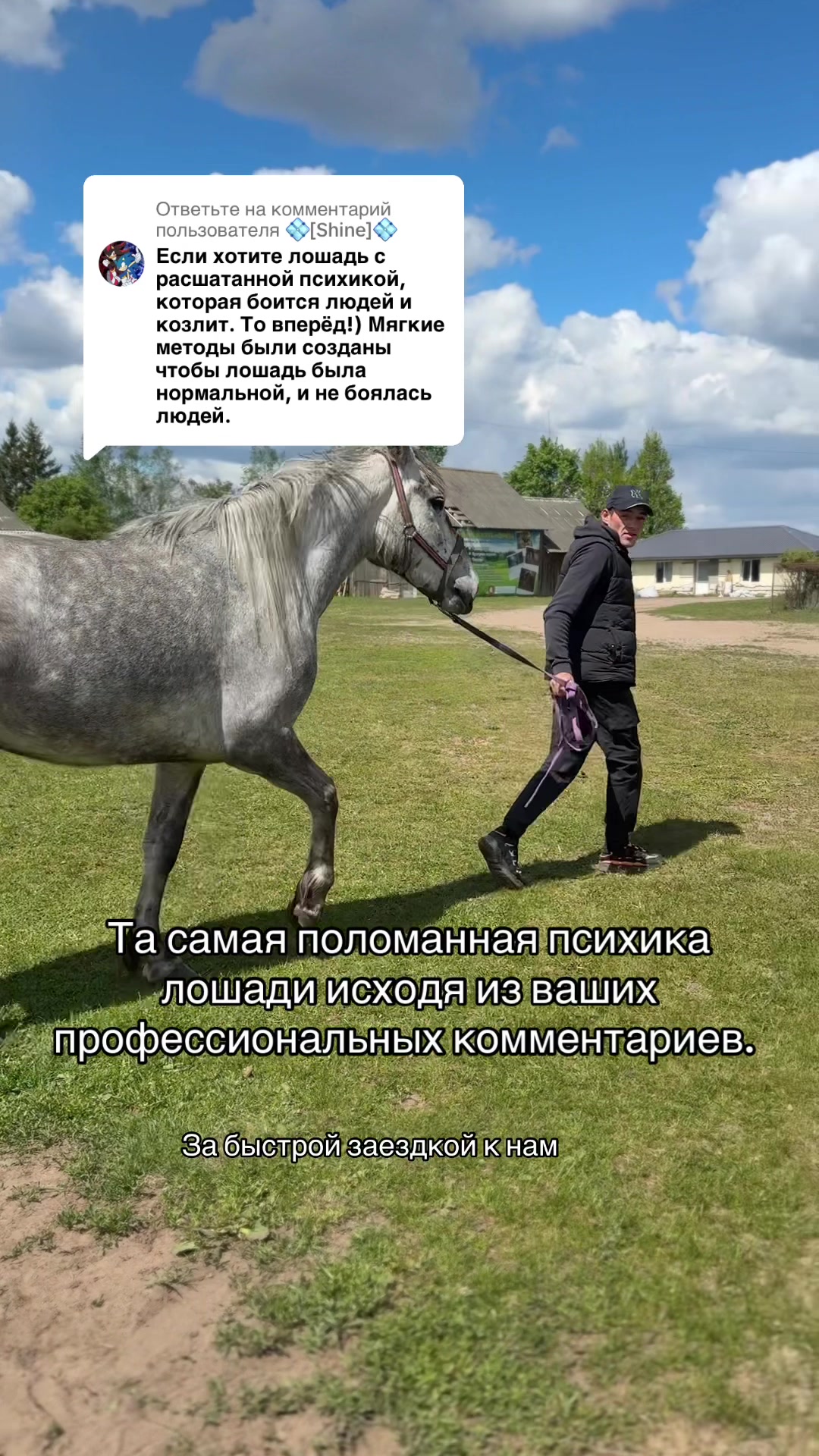 @КК "Фриз"🏇