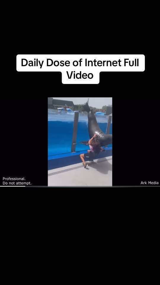 @TheDailyDoseRepost