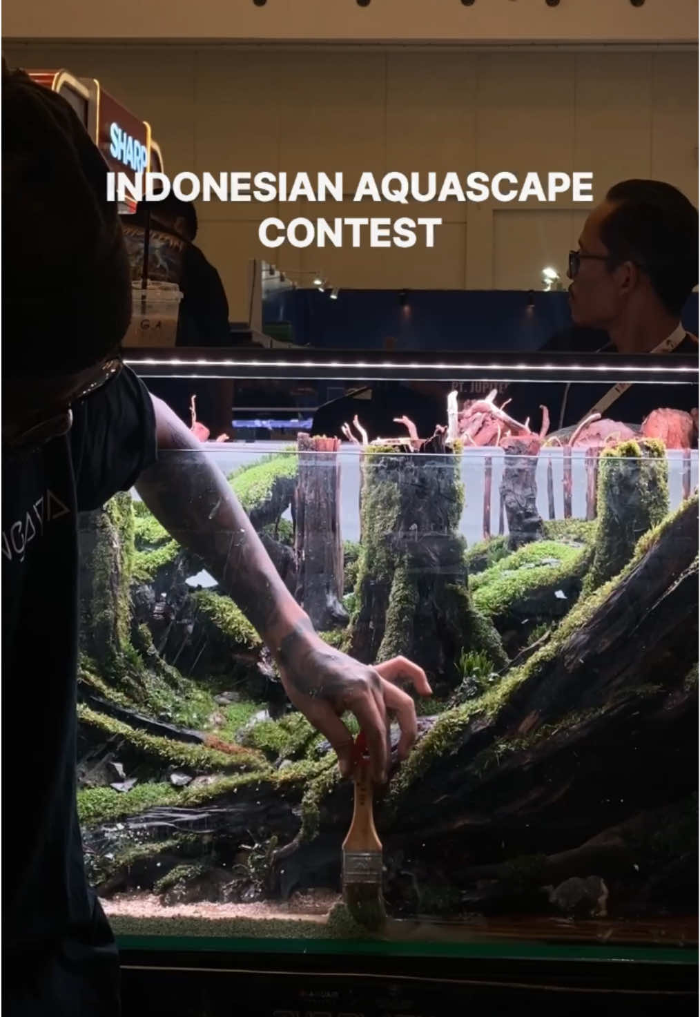 @Visuallscape