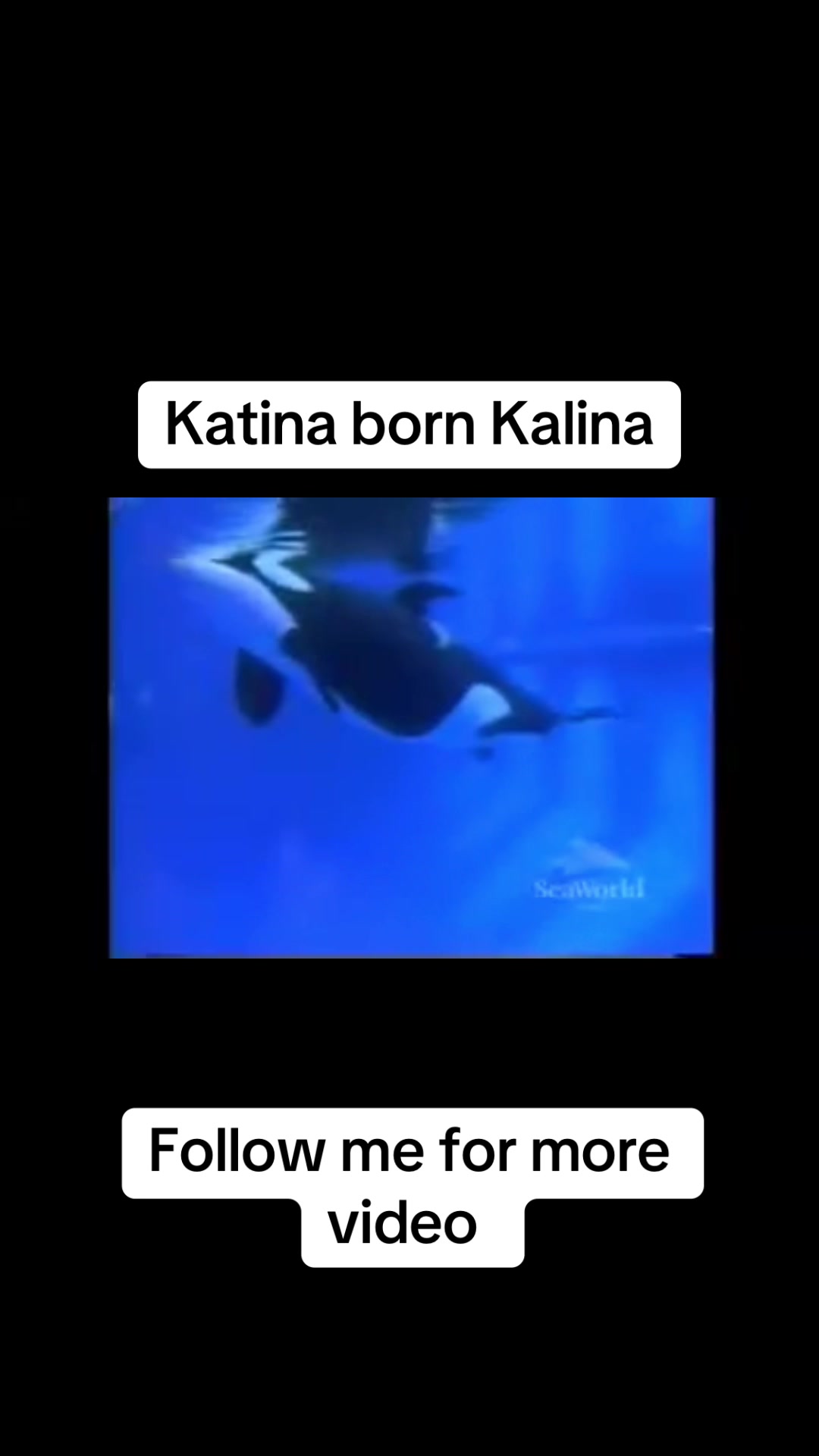 @OlivierSeaworld