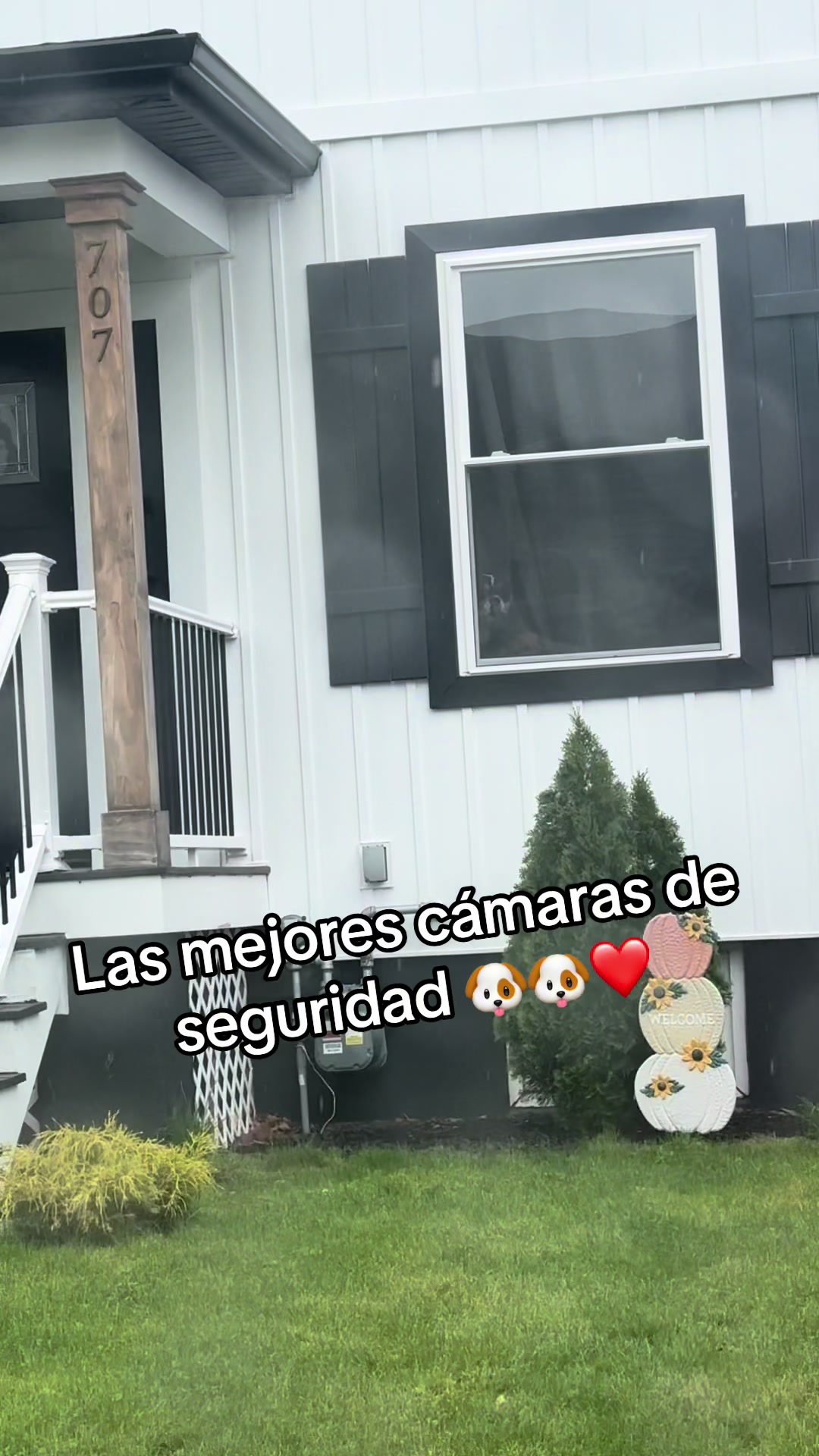 @Familiaperrunakiaraydefter