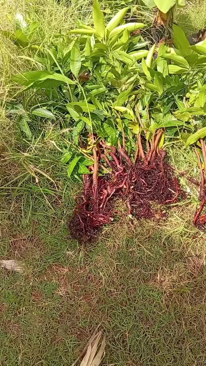 @FarmersTrend
