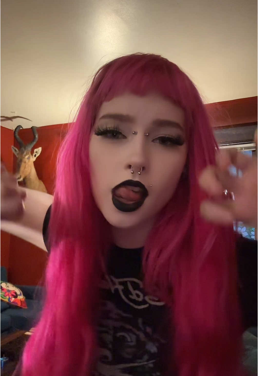 @🦄