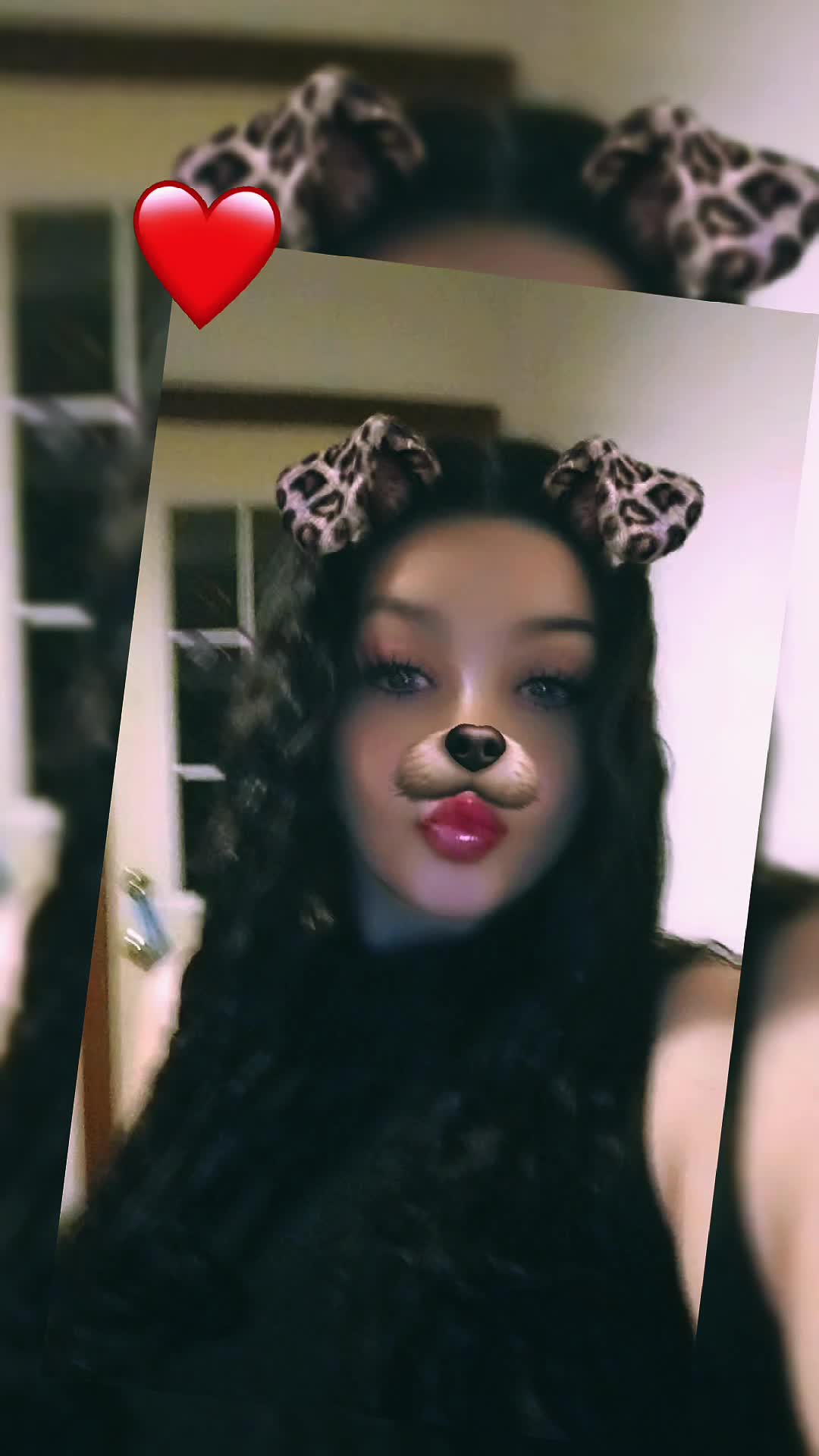 @shellshellz