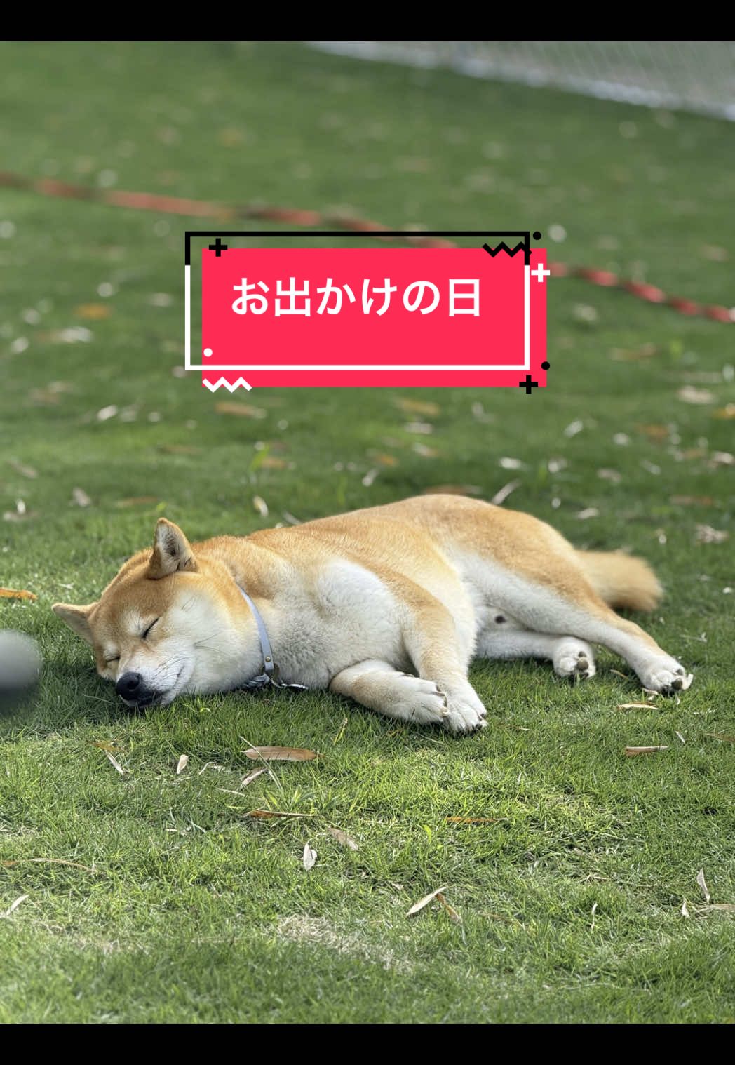@てんくう