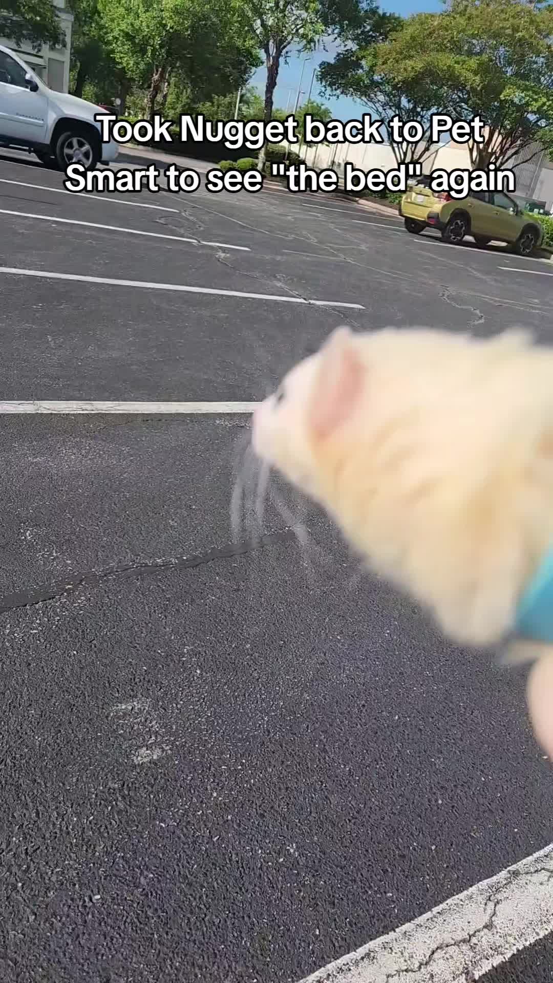 @FuffyFerrets