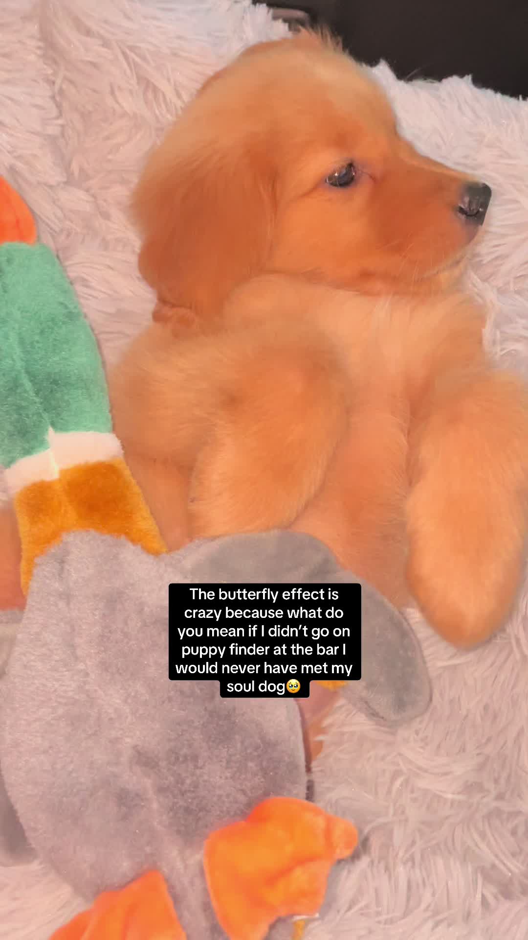 @Lrichy$