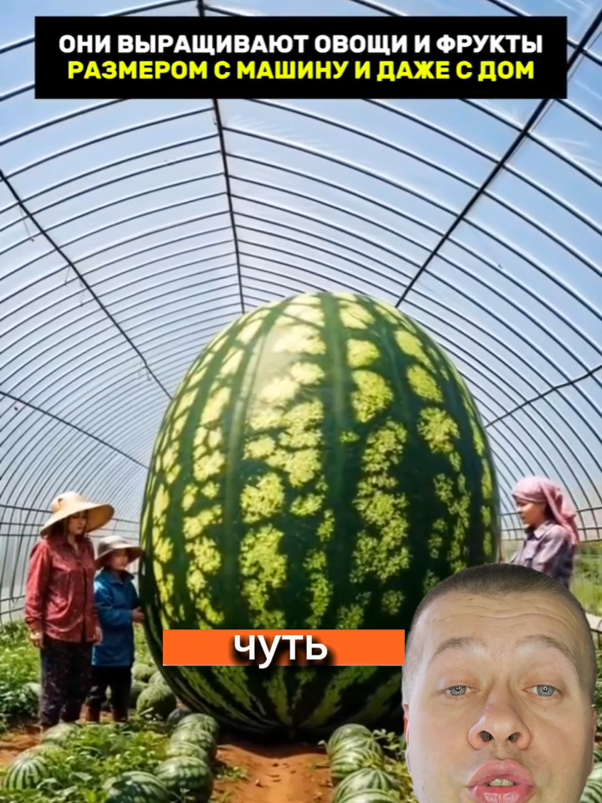 @МИША | Мистика 💎