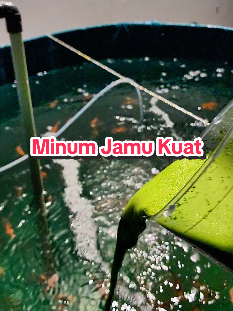 @Eka46.koi