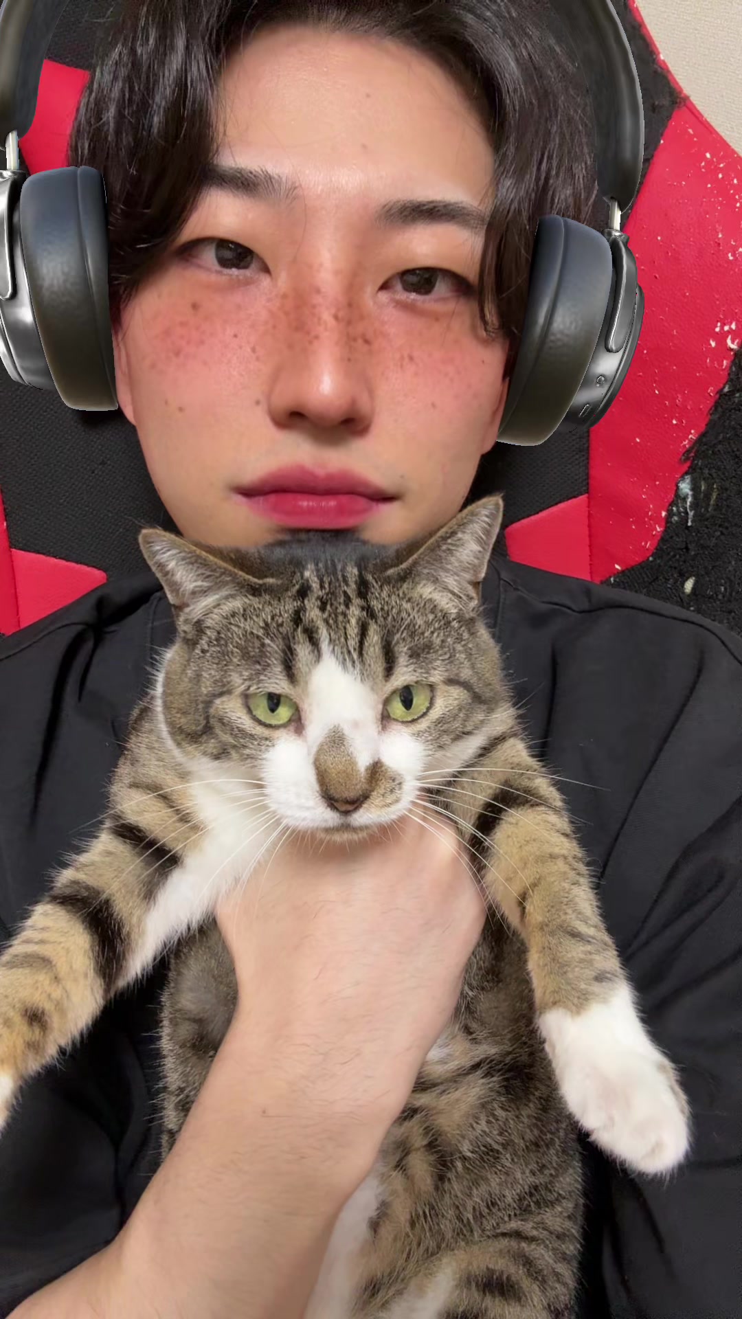 @としや🐈🤎👕
