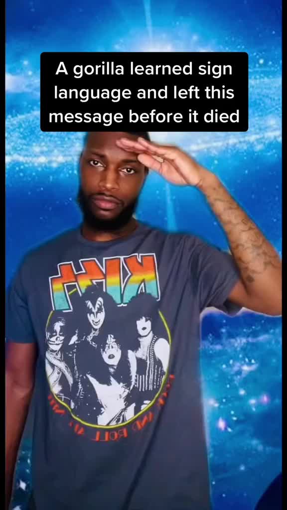 @Shadowreactz