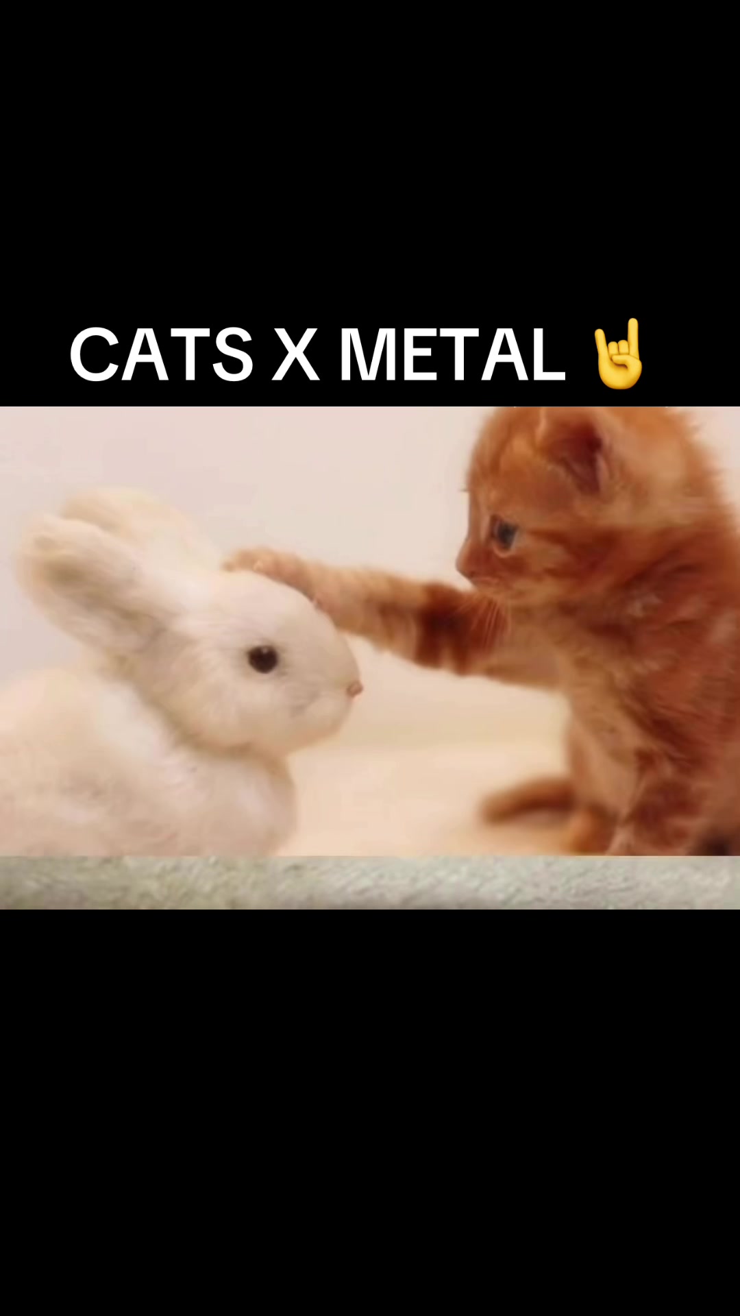 @Metal Bozos
