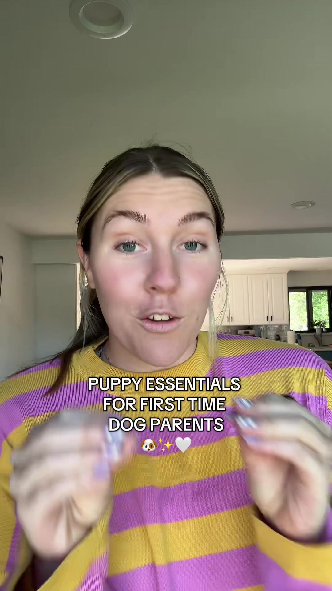 @The Z Cattle Dogs