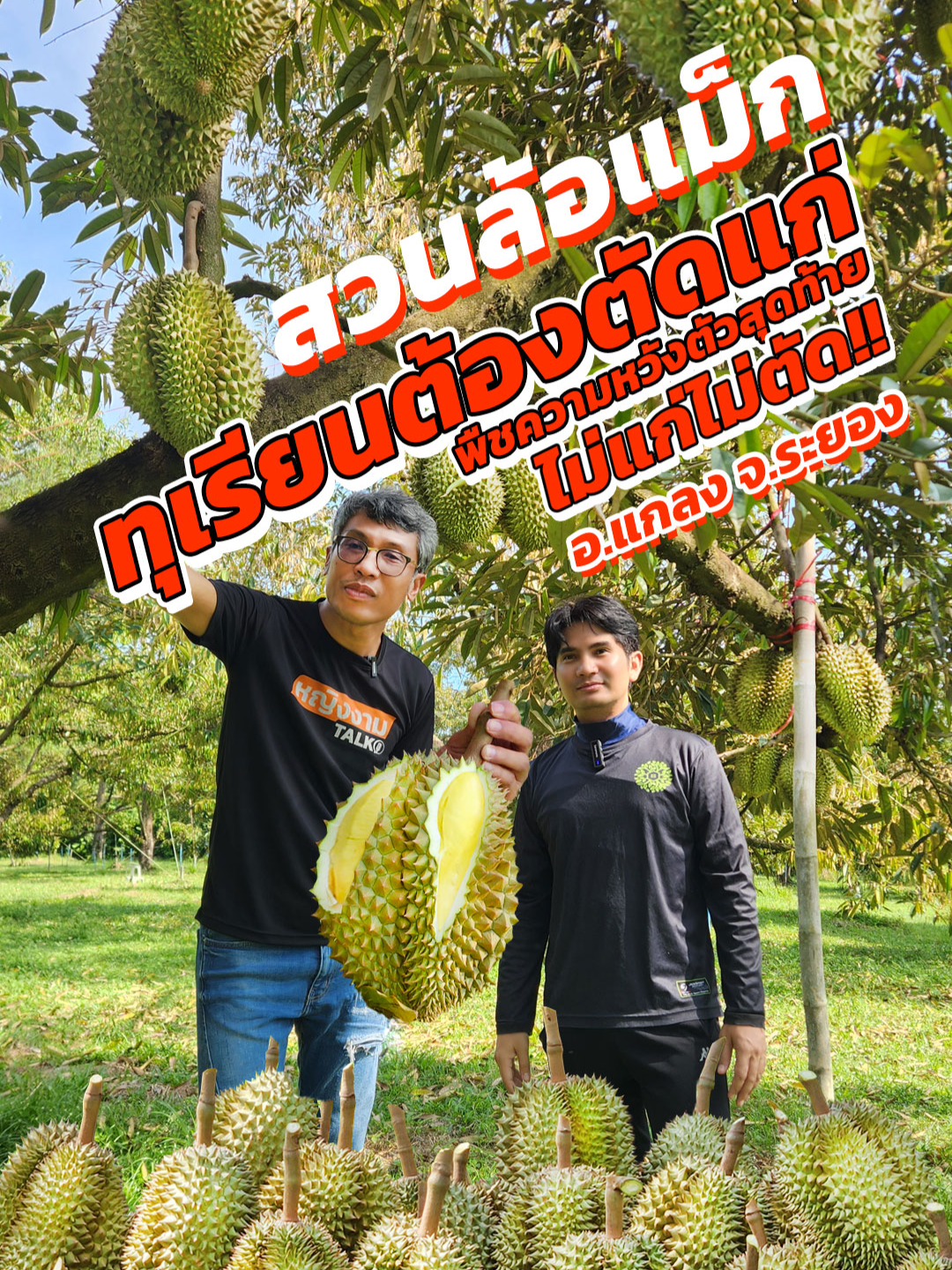 @ตราหญิงงาม