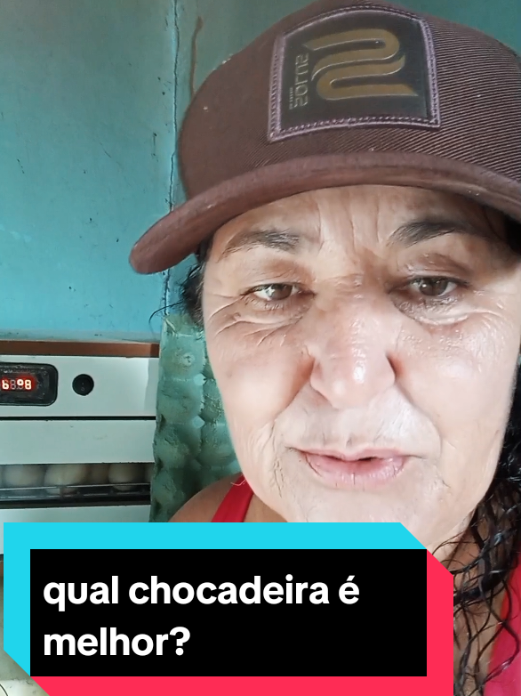 @Silvana Franco /vida na ro&ccedil;a